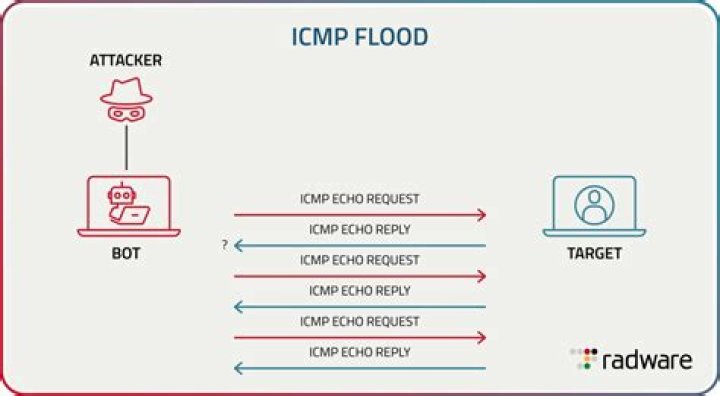 ICMP- Ping monitor - Documentation for BMC PATROL for Light Weight Protocols 3.0