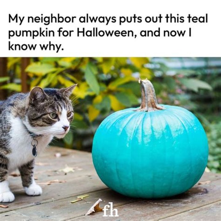 If You See a Teal Pumpkin This Halloween, This Is What It Means