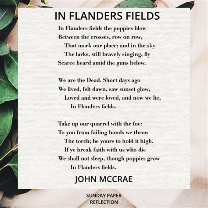 In Flanders Fields...