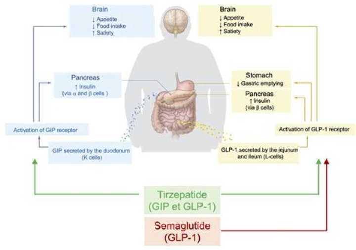 Insomnia and Semaglutide: Understanding the Connection and Potential Benefits