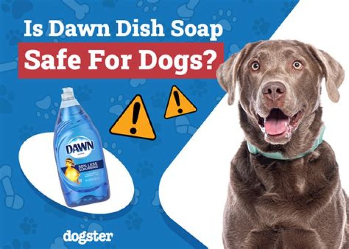 Is Dawn Dish Soap Safe For Dogs? Vet Reviewed Facts & FAQ