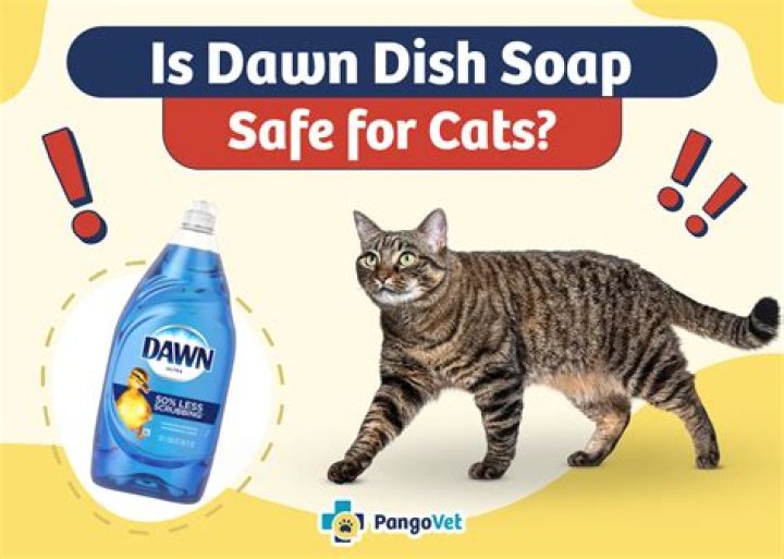 Is Dawn Dish Soap Safe for Rabbits? Is It Effective for Cleaning?