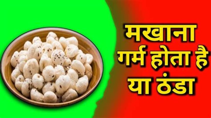 मखाना क्या होता है, फायदे, कीमत, और बनाने का तरीका (Makhana Kya Hota hai, fayde, kimat aur banane ka tarika)