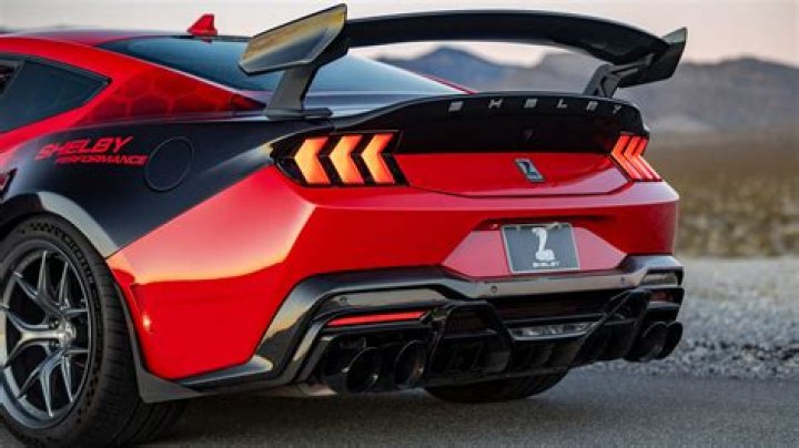 Meet Love In The Flesh's Shelby Barrett! Her Bio, Height, Family, Age, Job