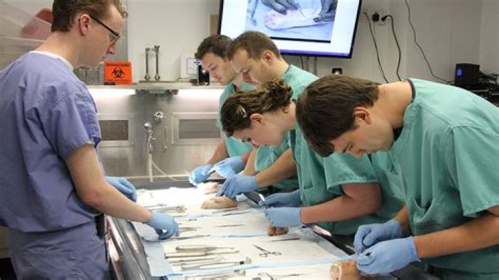 Orthopedic Research & Education Center