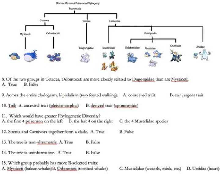 Pokemon Phylogenetic Project | Bulbagarden
