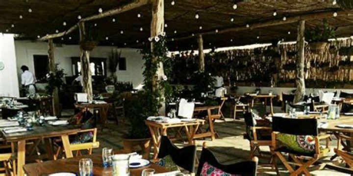 Pollo asado, una tradición que se convierte en tendencia gourmet