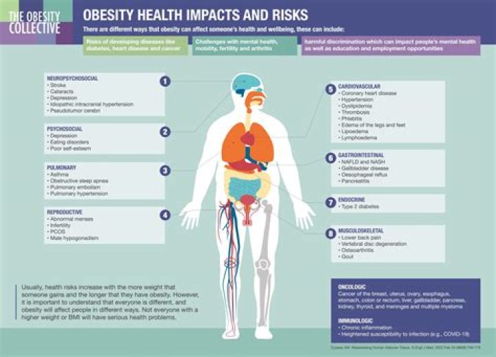Research at KU Medical Center explores effects of obesity on health and COVID-19