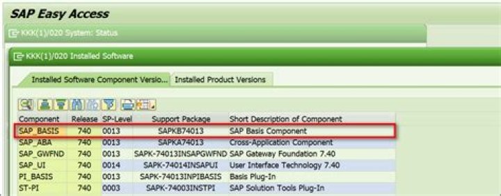 SAP NetWeaver Process Orchestration - Reports & Attributes - Documentation for BMC Discovery content reference