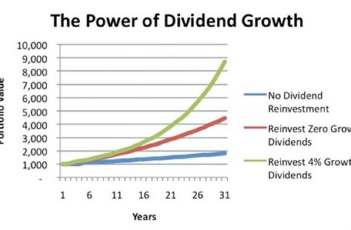 Should I reinvest dividends and capital gains?