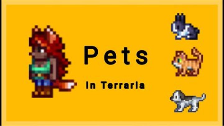 Terraria Pets Guide: How To Get Every Pet In Terraria