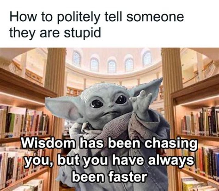 “That’s Some Stupid Shit Right There”