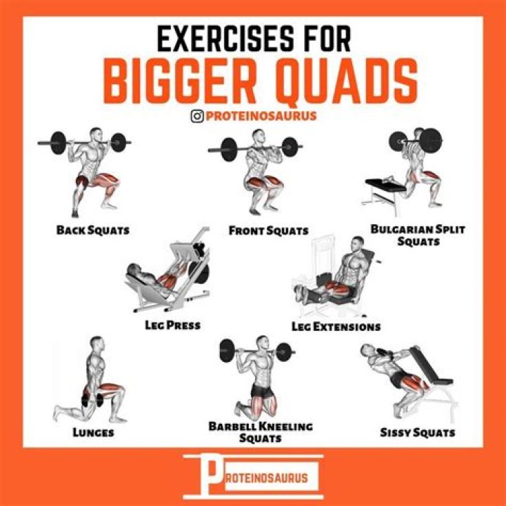 The 12 Best Quad Exercises and Workouts for Building Muscle