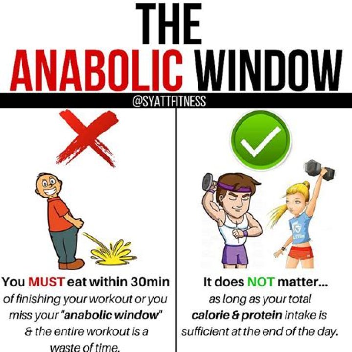The Anabolic Window Is a Myth. Here's What You Actually Need to Do to Gain Muscle.