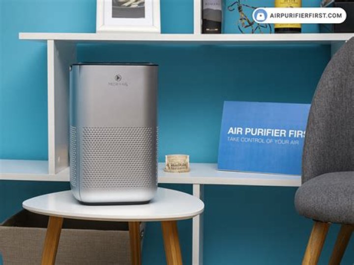 The Best Home Air Purifier for Better Air Quality