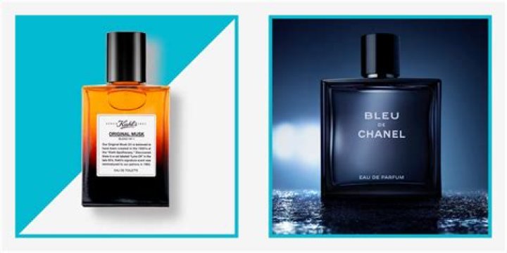 The Best Musk Colognes for Men Will Make You Smell Instantly Sexier