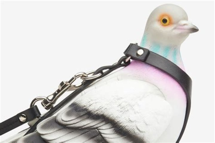 The Story Behind JW Anderson's Viral $890 Pigeon Bag