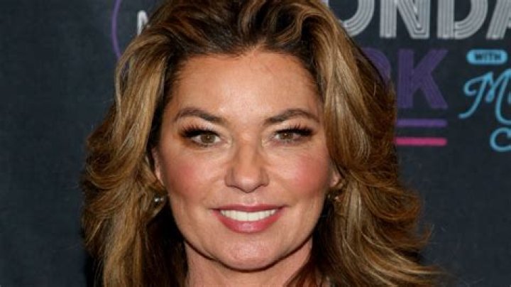 The Stunning Transformation Of Shania Twain