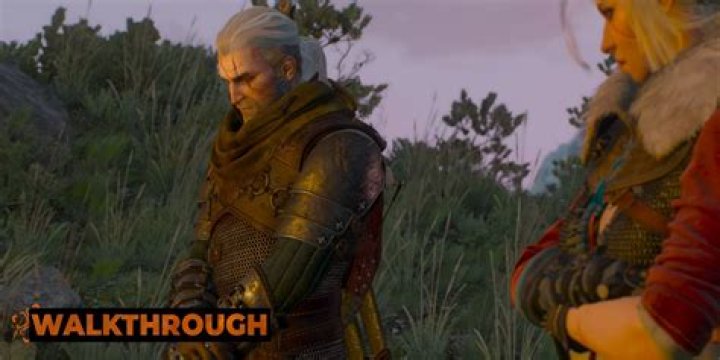 The Witcher 3: Skjall’s Grave