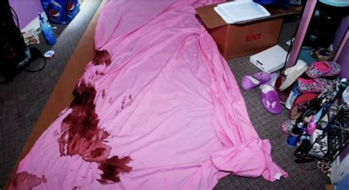 Unraveling The Mystery: Gypsy Rose Blanchard Crime Scene Images