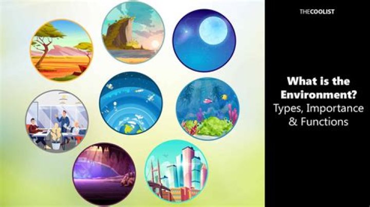 What Are the Different Types and How to Choose