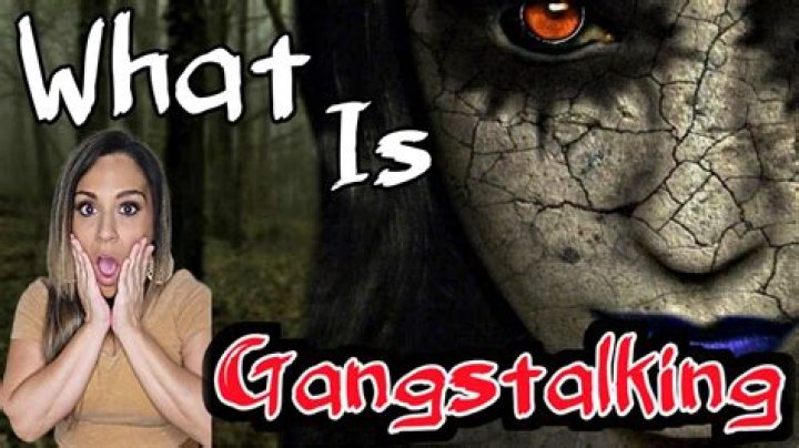 What is gang stocking?