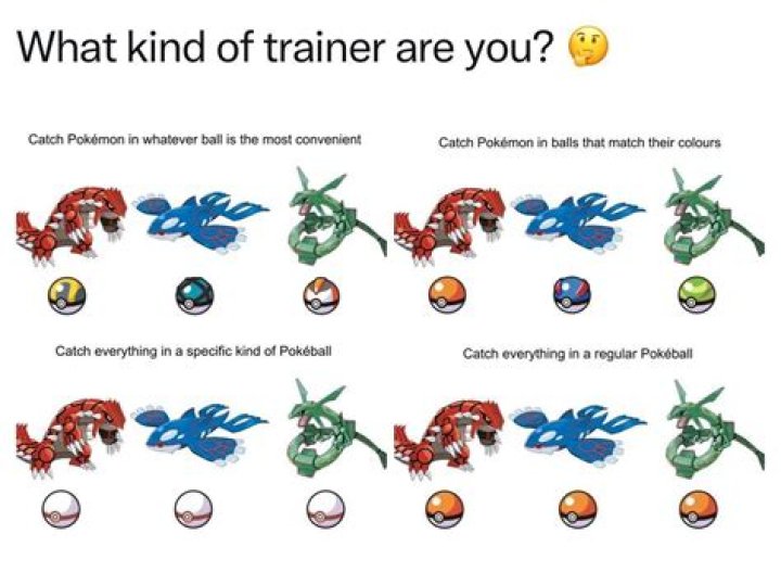 What kind of trainer are you?