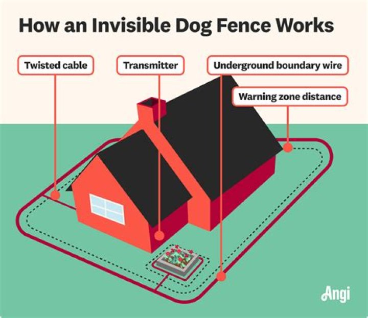 What To Know About Invisible Fencing for Dogs