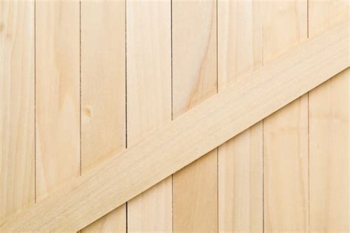 What To Know About Poplar Wood