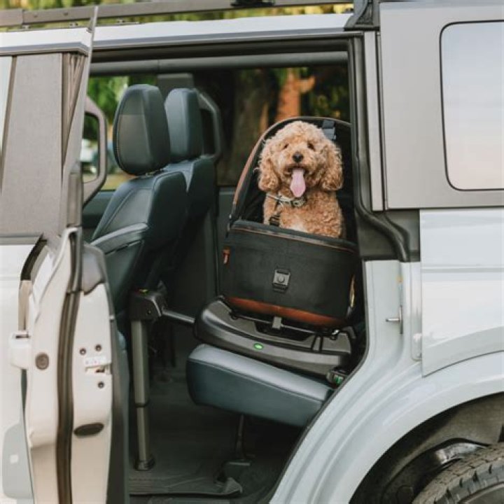 Why Don't You Buy…the Tavo Pet Car-Seat Travel System