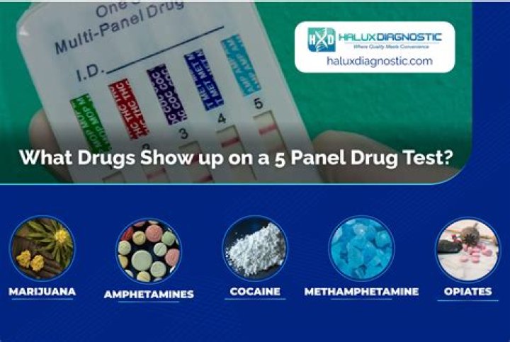 Will Armodafinil Show On A Drug Test - Everything You Need to Know