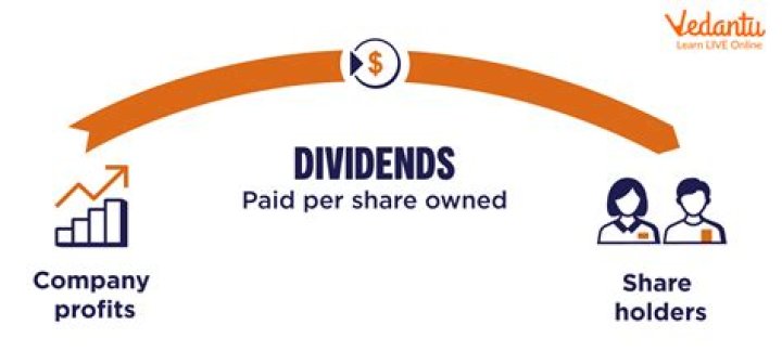 Will ZIM pay dividend in 2023?
